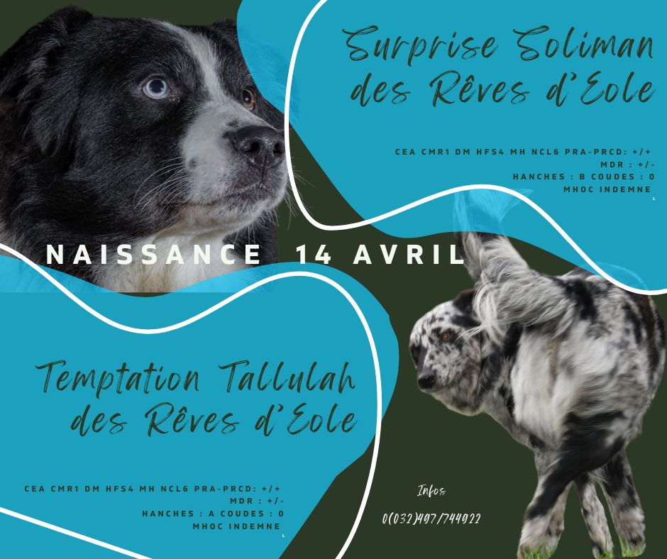Mariage de Tallulah et Soliman , une réédition 